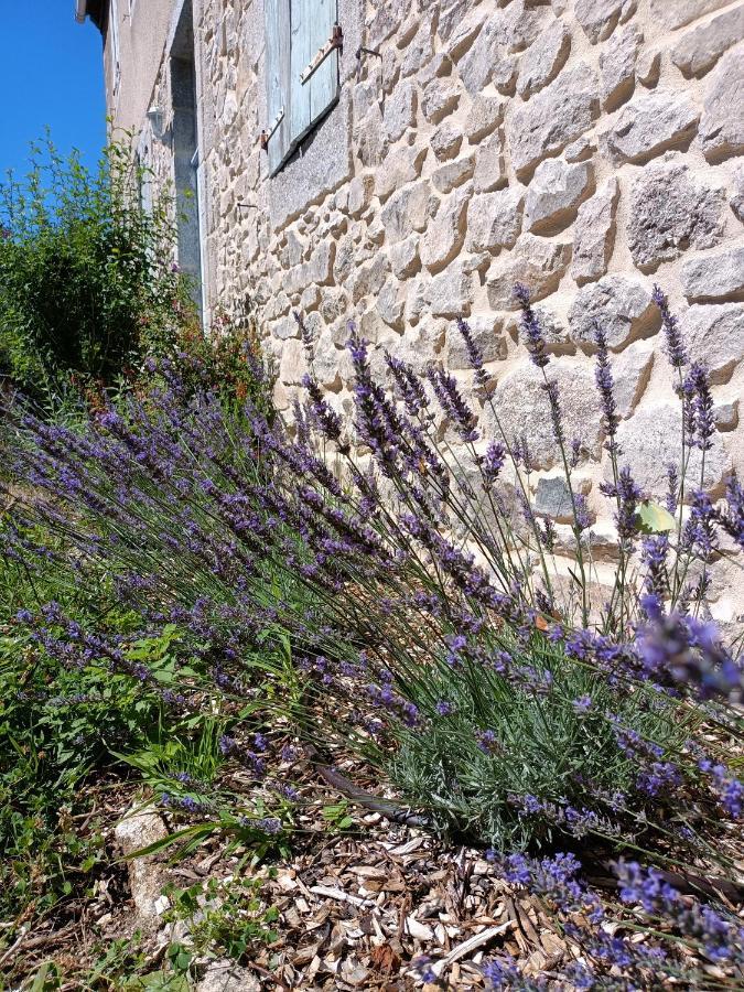 L'ancienne Ecole De Sainte-marguerite Holiday home *